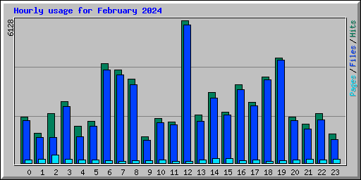 Hourly usage for February 2024